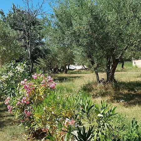 Ginocchetti Kaštelir