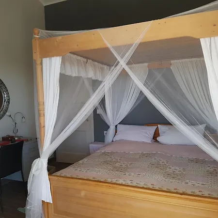 Ginocchetti فيلة *