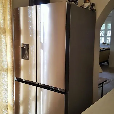 Ginocchetti فيلة