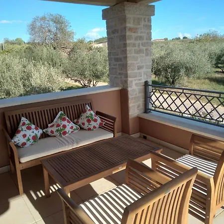 فيلة Ginocchetti *