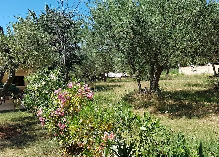 Ginocchetti Kaštelir